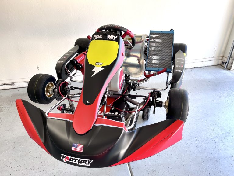 FACTORY KART CHASSIS W/ IAME 175 SSE COMPLETE SHIFTER ENGINE | Musgrave ...